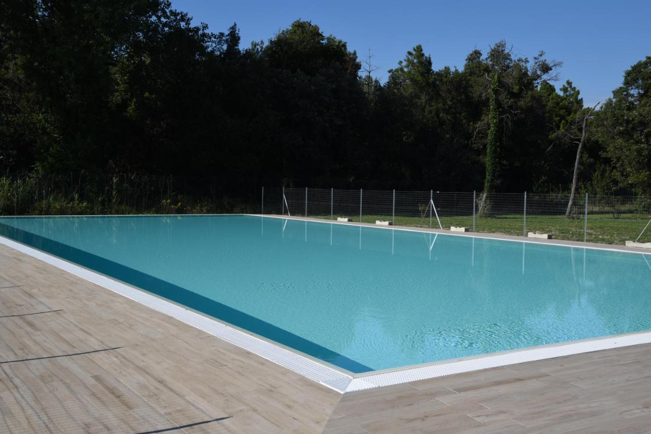 Residence Il Piviere App 7 With Private Garden Calambrone Exteriör bild